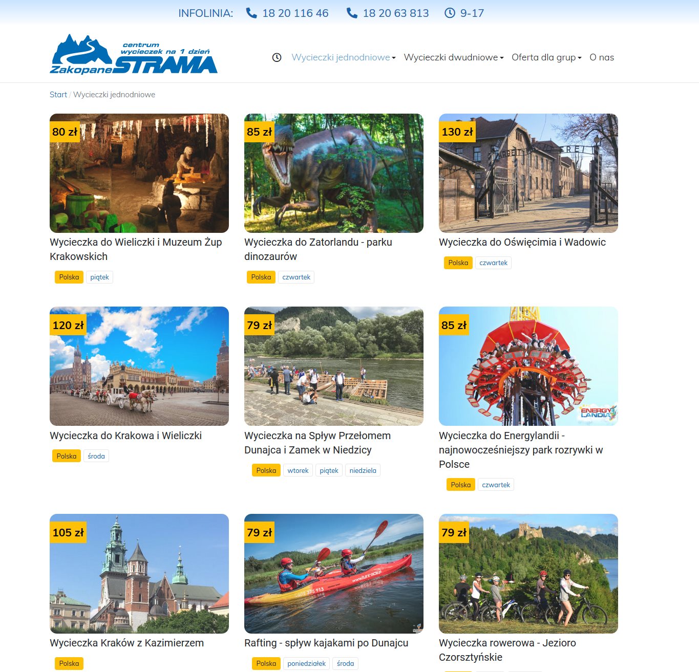 Strona internetowa branży turystycznej z Zakopanego